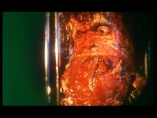 20070116232138-foto-goreblood.jpg