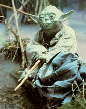 20070501193246-foto-yoda.jpg